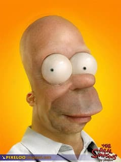 El Verdadero Homero Simpson