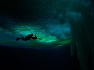 Herzog da de que Hablar con Ultimo Documental.