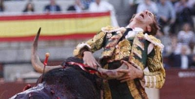 Cuando el Toro Gana.