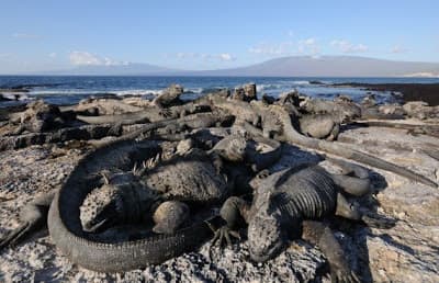 Galapagos Tendra Internet Gratis