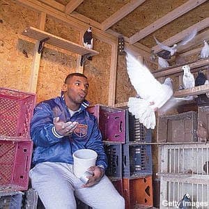 Tyson y su lado animal.