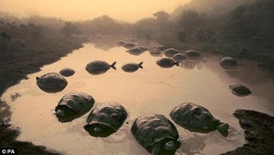 Foto de Galapagos entre las elegidas!!!