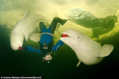 4 fotitos para su consideracion y analisis.