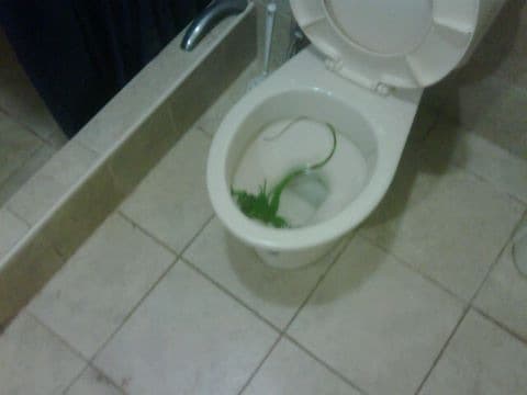 Fotos del fin de semana