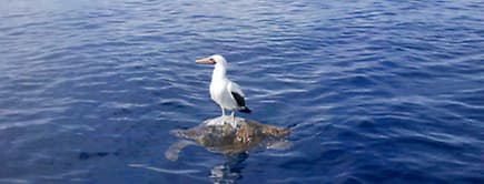 Fotos para el fin de semana.