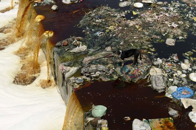 Fotos del fin de semana