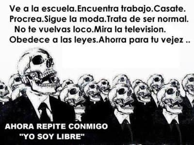 Que interpretacion le dan a esto?