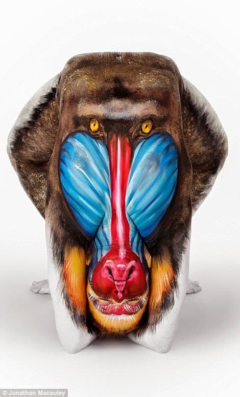 Y? Mono o humano pintado?