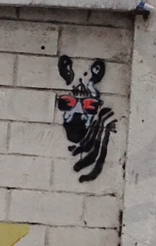 ¿Donde esta la cebra con gafas?