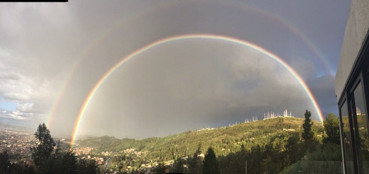 Fotos de la semana