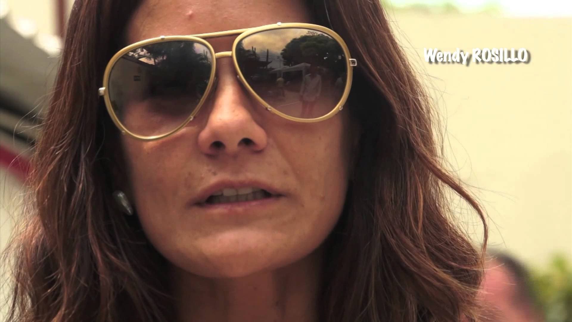 La profesionalización, capitulo 6