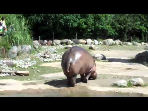 Tres videitos para el fin de semana.