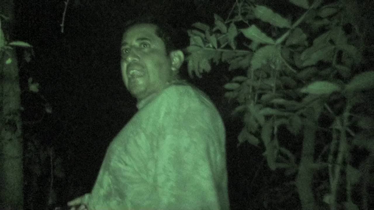 Arte. Entrar y salir, nadie te dice nada, nadie controla en cerro paraíso (video)