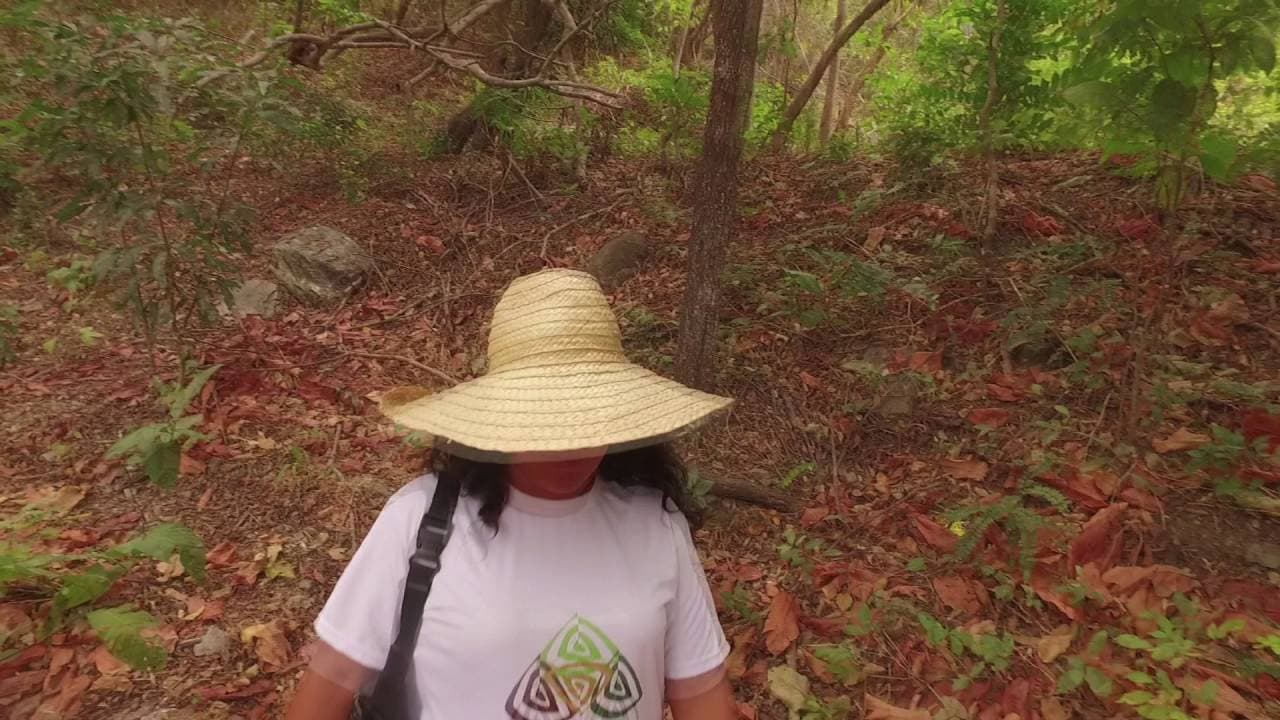 Los cerros de Guayaquil no están solos