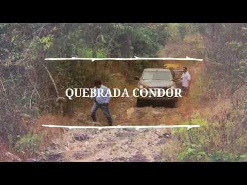 "Iniciativa Salvaje de Guayaquil"