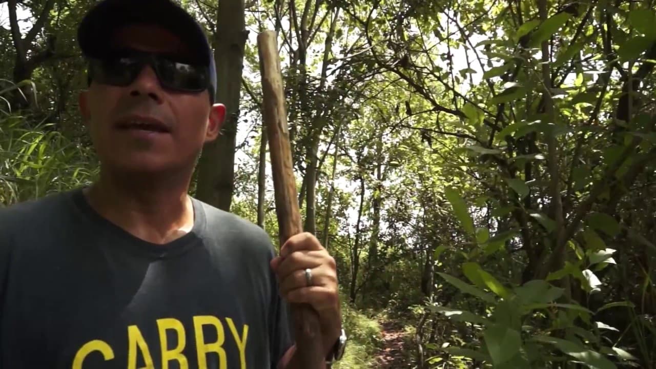 ¿Cómo sigue el cuidado de cerro paraíso?