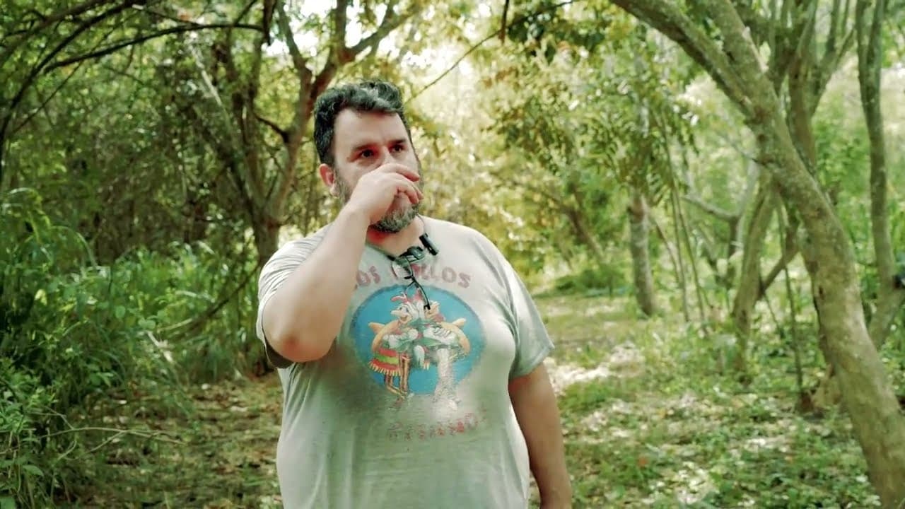 Las guitarras del bosque ecuatoriano