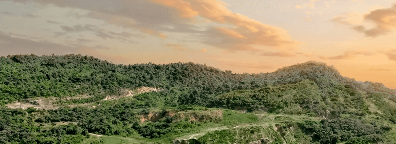 Guardianes de Cerro Paraíso (documental)